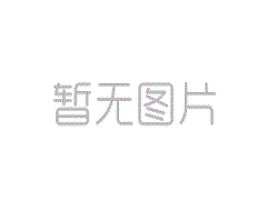 光纖線路成本：2025年定價因素、比較和節省技巧 